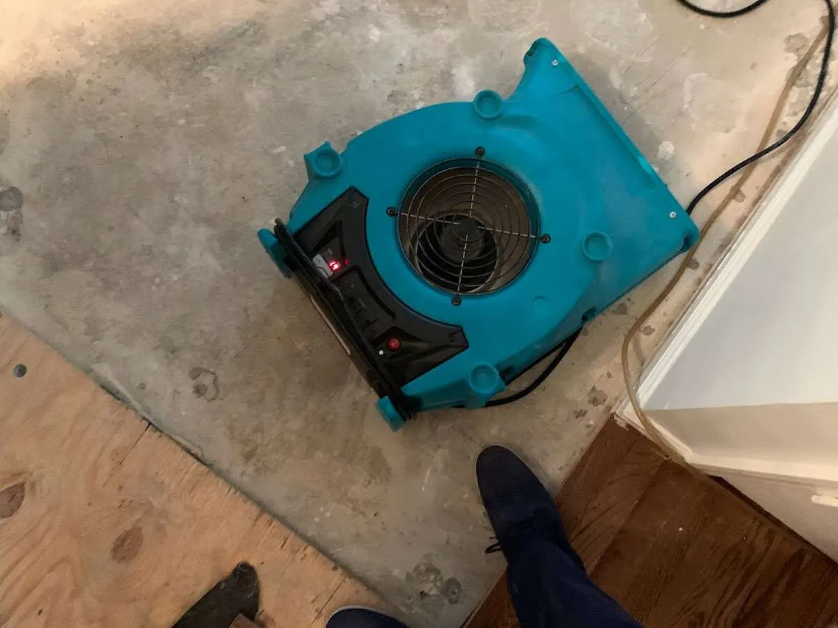 Air mover drying subfloor during Leak Detection & Repair in Forest